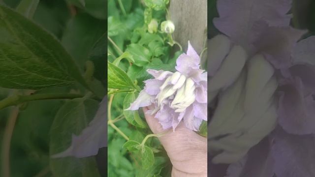 Жарю,пеку,ем😋,бегу🏃,кошу🤭🤦😅.а ВЫ со мной?🙋
