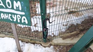 Мансуркины шалости или почему теперь нужен новый забор❓❓❓