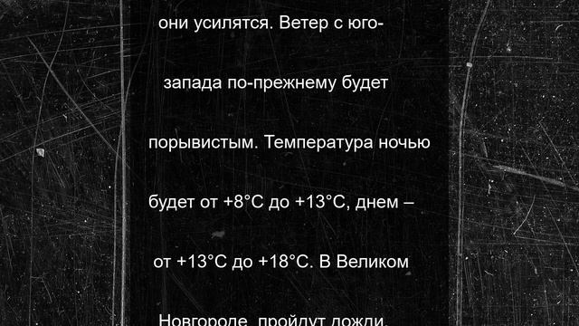 В Новгородской области 25 июня будет пасмурно и дождливо