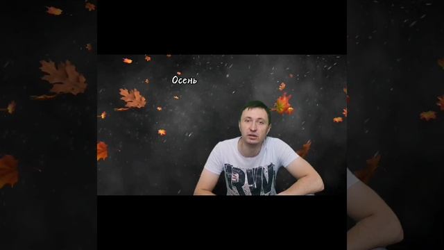 Андрей Шемето - Осень. Мелкий дождь за окном... (аудиостихи)