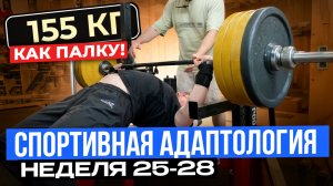 НЕДЕЛЯ 25-28 | СПОРТИВНАЯ АДАПТОЛОГИЯ
