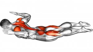 Как тонизировать мышцы спины и исправить плохую осанку