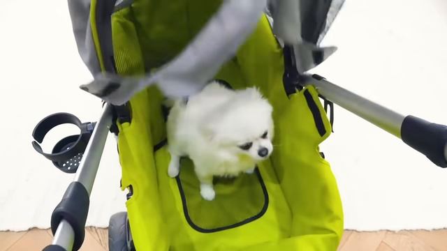 Мистер Макс Макс и папа мешают Кате играть с куклой