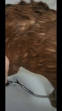 1000492509.mp4