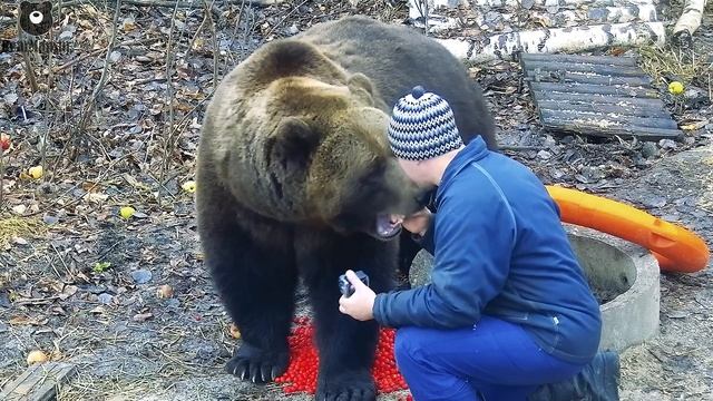 Какие гостинцы ты принес мне ,Пап?