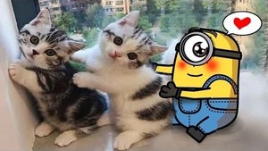 Мультики для детей. Яркие Мультики  . Детские мультики для малышей смотреть