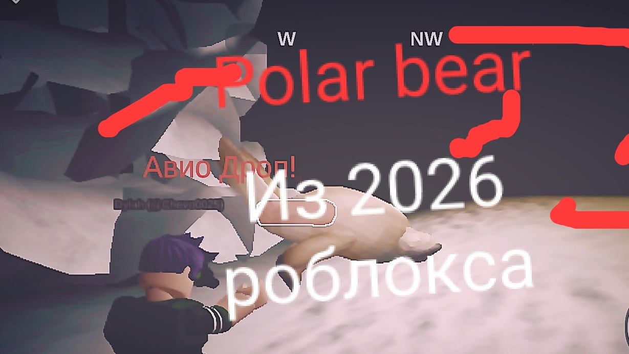 БELЫN MEДBEДЬ—белай мишка из 2026👍🐻❄️🇷🇺