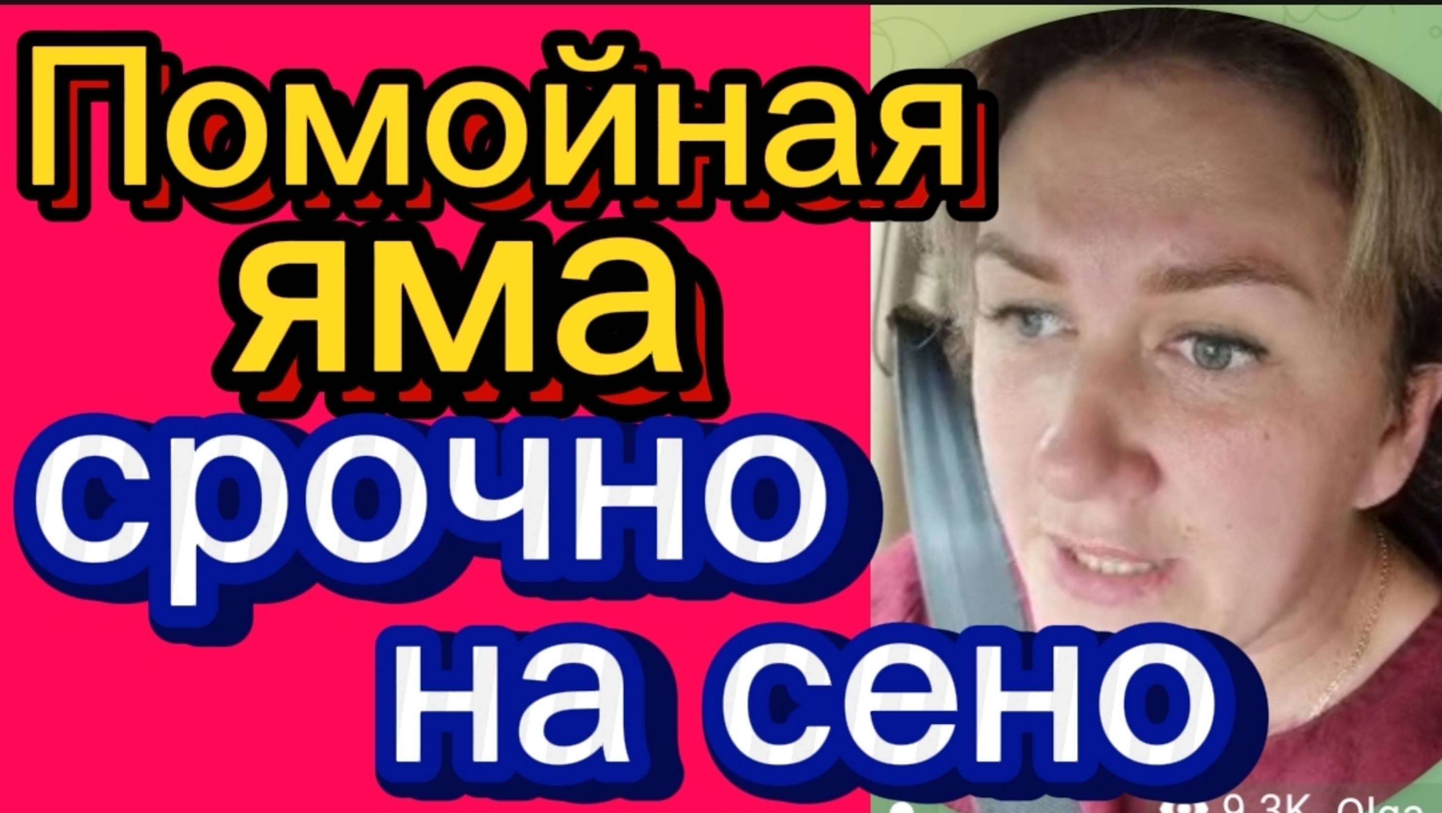 Снова поборы. НА СЕНО. Деревенский дневник.