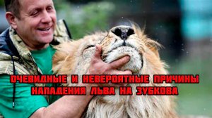 Очевидные и невероятные причины нападения льва на Зубкова в Тайгане