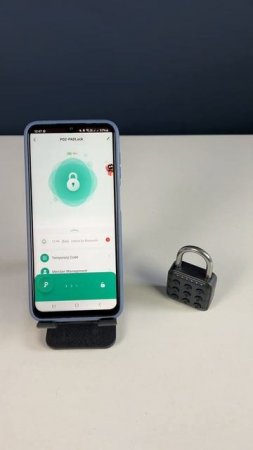 Замок навесной кодовый Ps-Link PS-SY13 Всепогодный / Умный / Без ключа / Черный