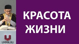 Роскошь и гиперпотребление