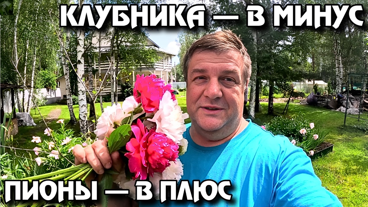 Собираем клубнику и строим будущее: Дачные приключения