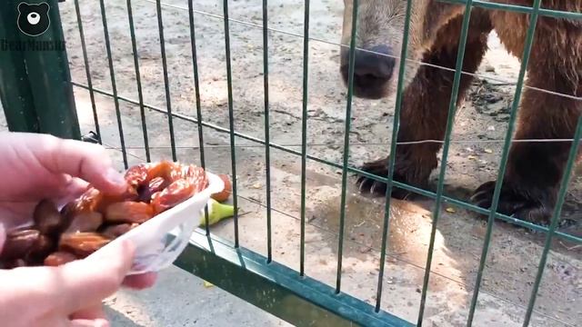 Купаемся и лакомимся