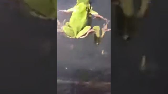 Любовь!