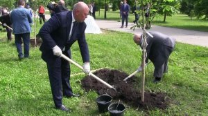 Торжественные мероприятия в честь 100-летия "Динамо"