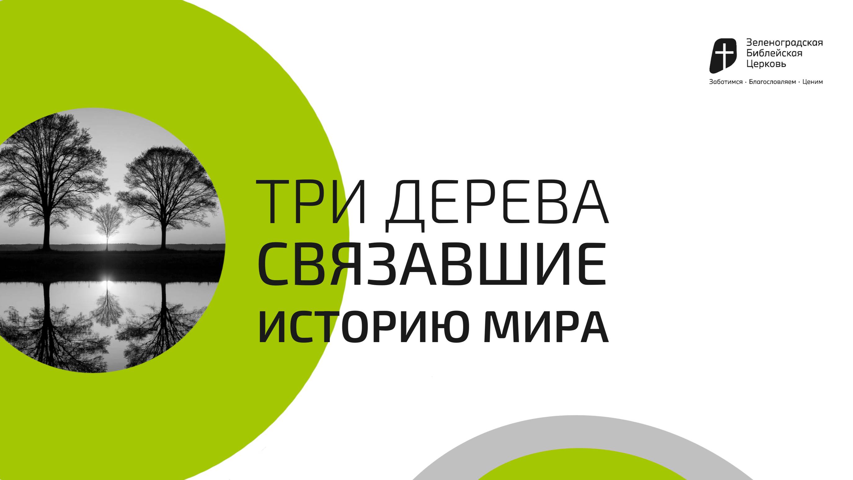 Три дерева связавшие историю мира | Павел Колесников
