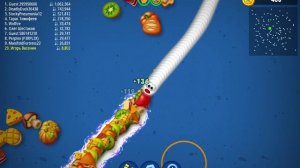 Играл до 17 места в Worms Zone