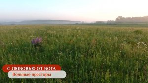 Вольные просторы | С любовью от Бога