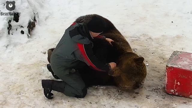 Обниматься и валяться? это я всегда "ЗА"