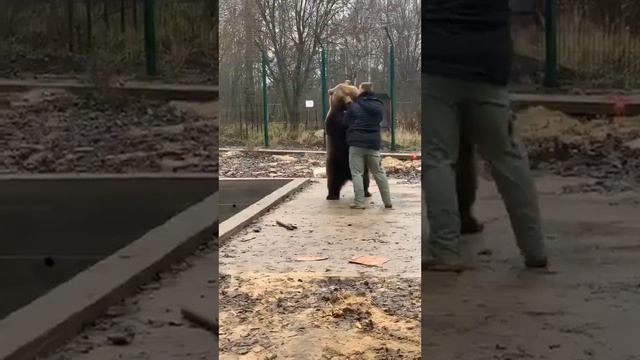 Медведь Мансур модельер ✂Прямой эфир инстаграм @mansurbear 10.11.19