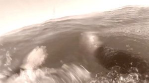 Monolink-Outgrown TORNADOcatamaran ТОРНАДОкатамаран #TORNADOMASTERS SiberianSailing