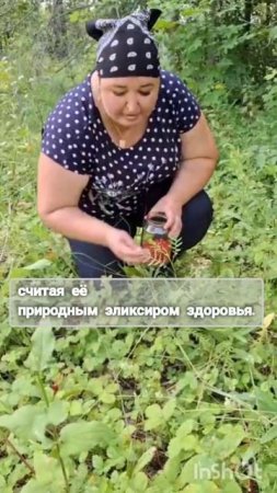 Личный рецепт счастья