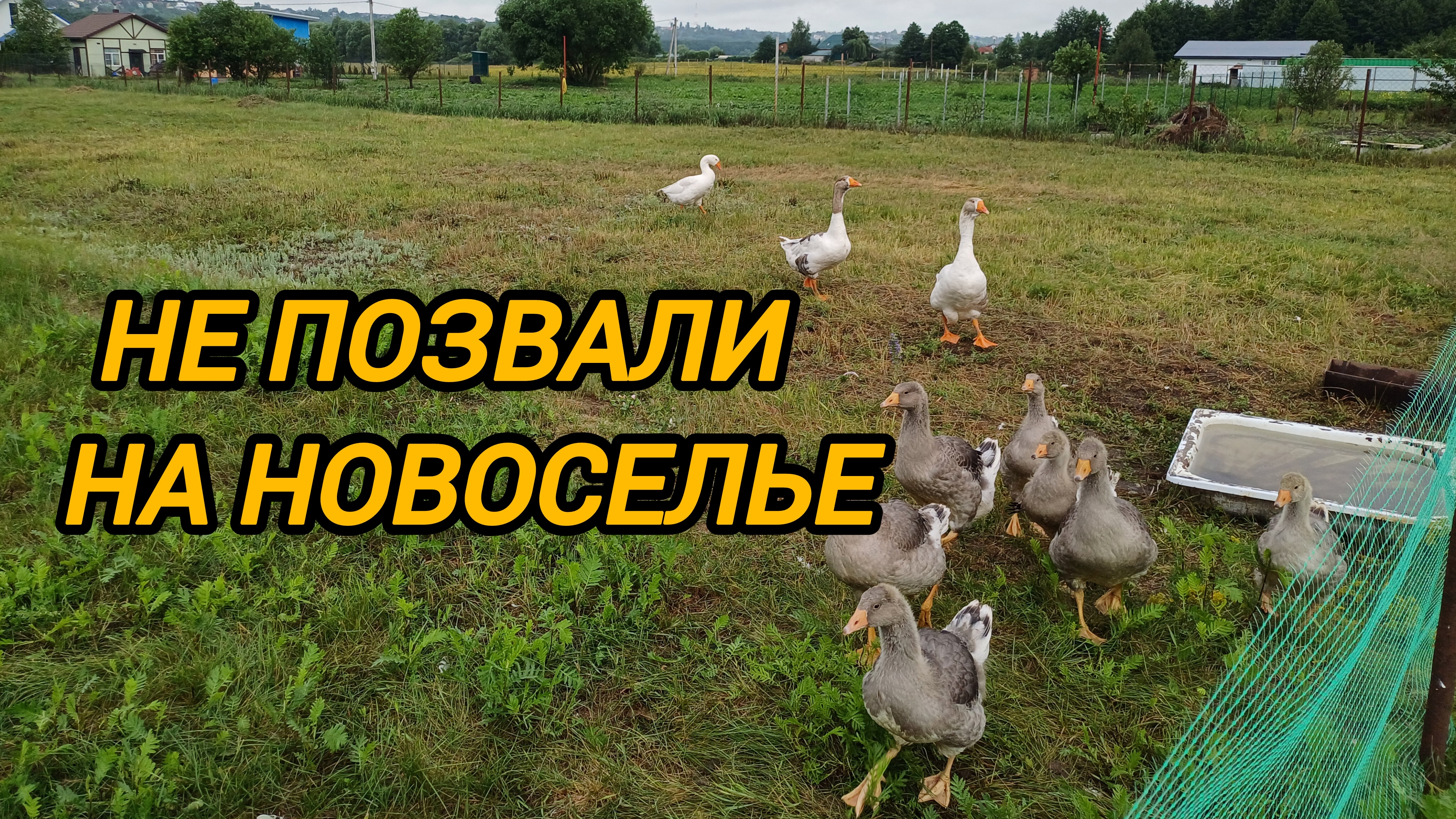 НЕ ПОЗВАЛИ НА НОВОСЕЛЬЕ