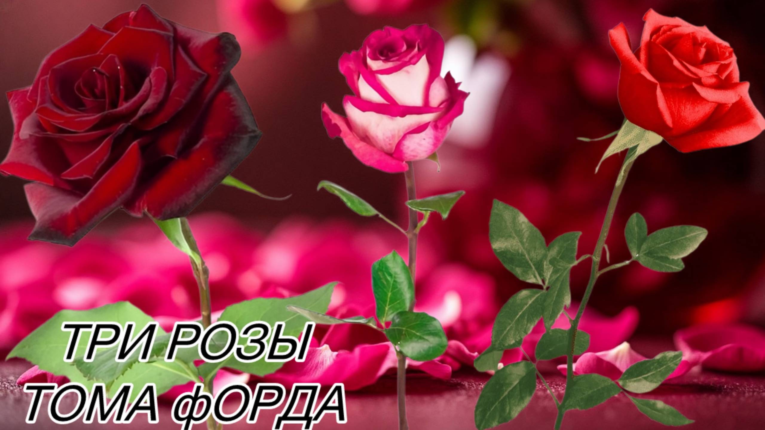 Любителям роз – сюда! Мой рассказ про самые красивые розы Тома Форда.