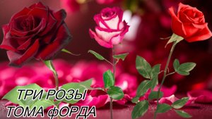 Любителям роз – сюда! Мой рассказ про самые красивые розы Тома Форда.