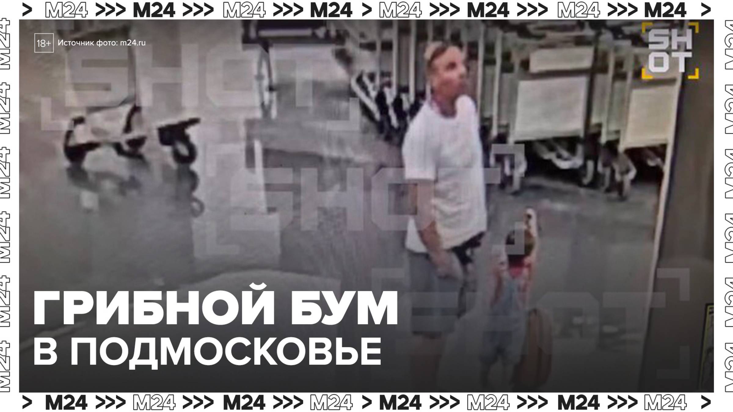 Возбуждено уголовное дело о покушении на убийство ребенка в Шереметьево - Москва 24
