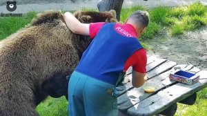 Санаторий "у Мансура" и с ложечки покормят и пузико почешут