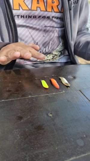 Блесна  Akara  Stream