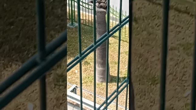 Прогулка по Конаклы
