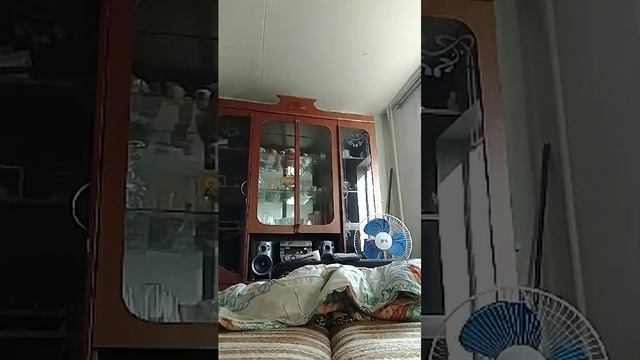 секс упругие сиськи 18 +