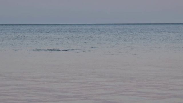 output(compress-video-online.com) (1)