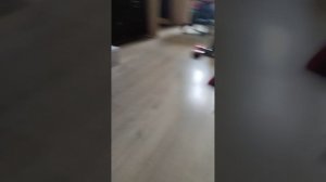 обзор на ладу машинка