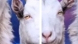 играю в goat Simulator 3! (goat Simulator)😂 ладно. ну... всем пока!