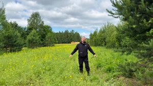 Первая пыльца сезона! Как мы собрали ценный урожай с пасеки