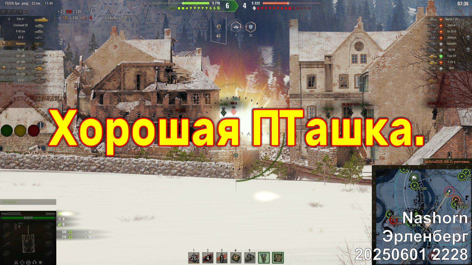 Хорошая ПТашка. Nashorn. Эрленберг. 20250601 2228.
