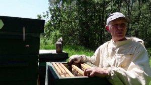 подготовка пчел на кочевку