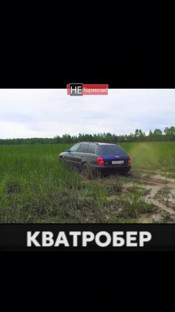 AUDI против затопленного поля #audi #quattro #4х4 #ауди #бездорожье #offroad