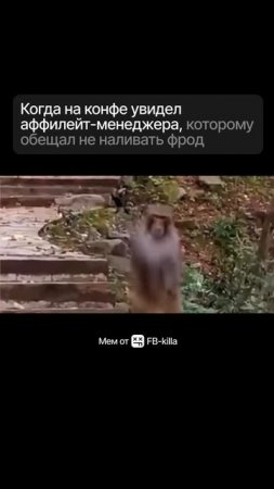 Когда на конфе увидел аффилейт-менежера, которому обещал не наливать фрода
