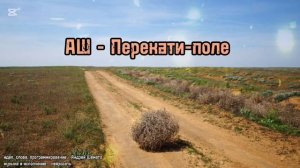 АШ - Перекати-поле (слова Андрей Шемето)