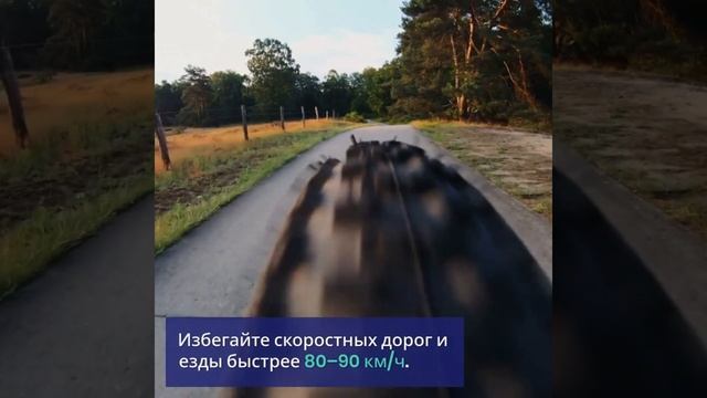 Тест зимней резины летом — когда можно рисковать