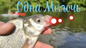 Клюёт одна Мелочь.