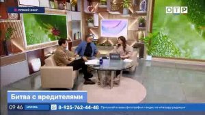 Огород – это не только радость
