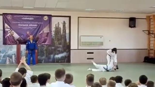 Показательные выступления -  Краснодар 2019 г. Реальное айкидо