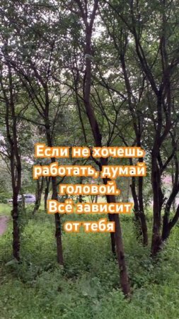 Думай