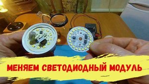 Меняем светодиодный модуль в лампочке.