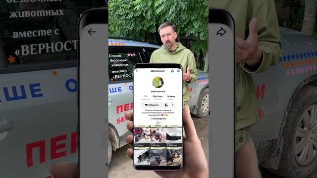 Зоомошенники в TikTok: как обманывают неравнодушных людей